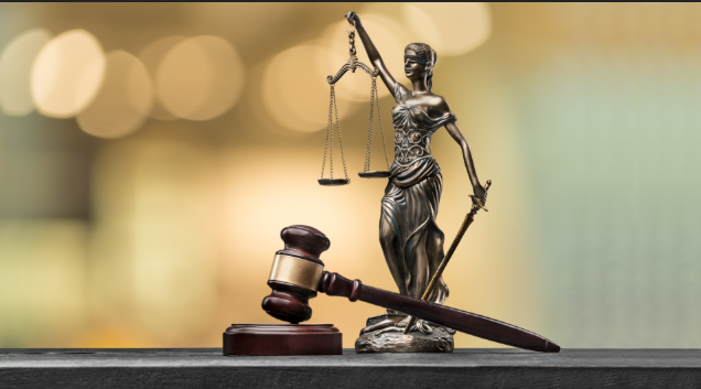 marianalapadat advokat mariana lapadat pnčevo